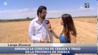 preview picture of video 'Cosecha del Cereal en Lanaja | Marta López | Aragón en Abierto'