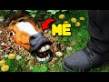 Sich Unter Der Erde Verstecken Um Polizisten In GTA 5 RP Abzuschütteln