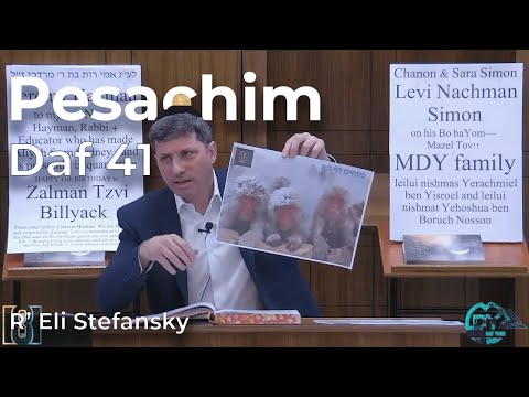 Daf Yomi Pesachim Daf 41 by R’ Eli Stefansky