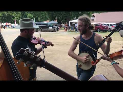 big possum string band - mule team