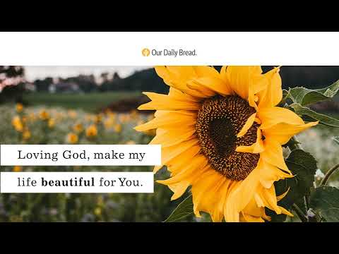 The Sunflower Battle | Audio Reading | Our Daily Bread Devotional | May 9, 2022