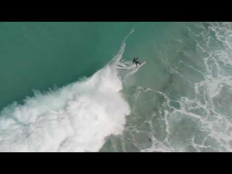 Salt Tree - Out of the Water (Official Video)