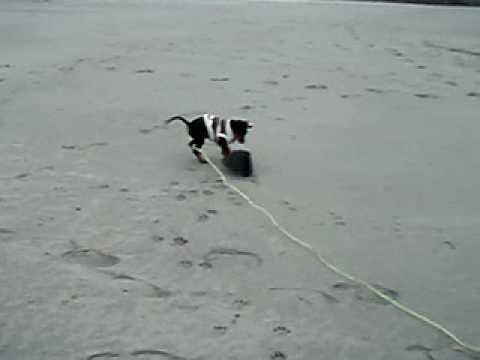 Nadira på stranden :)