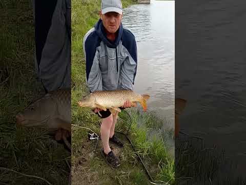 Monster On 6 lb Test.(Part 2)