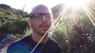 What Is Real Hip Hop?