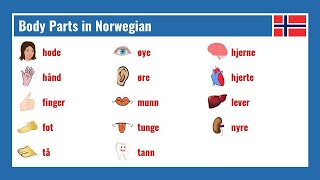 Norwegian Body Vocabulary Flashcard Videos