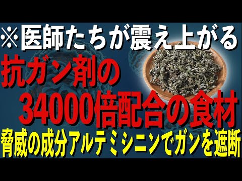 園芸 フミタレ、黄疸ハーブ、土胆、ウィドウズウィード、ピスサン