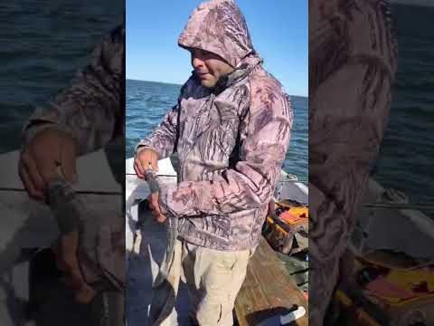 OTRO PESCON CON EL GUIA EL PATA EN MONTE GUAMINI @juanmanuel.bermejo tel +54 9 2923 57-111