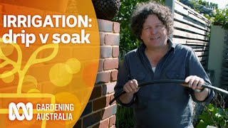 Irrigation essentials: drip versus soak | Gardening 101 | Gardening Australia