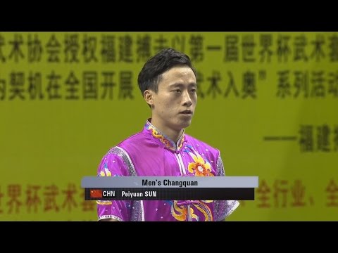 1st Taolu World Cup - Sun Peiyuan (CHN) - Men's Changquan - 1st Place