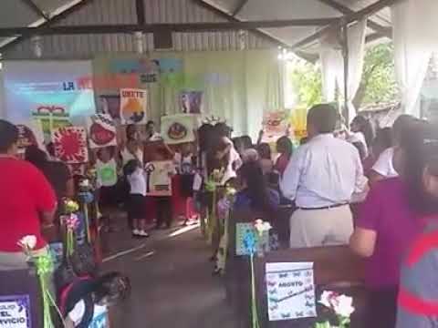 caminando voy contando