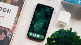 Apple iPhone X Two Months Later: New Problems