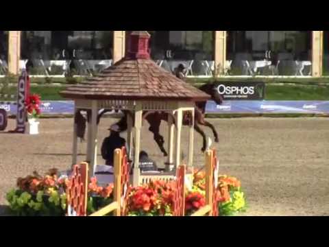 Stalypso 2/26/17 DC 5 1.35 classic