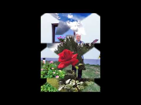 ŠTRUCL TONČEK - STARA HIŠA (nova pesem)