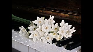 Piano Lessons Indianapolis