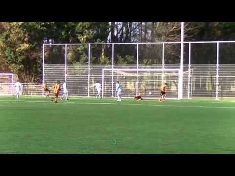 Samenvatting Rozenburg D1 - Hermes DVS D1