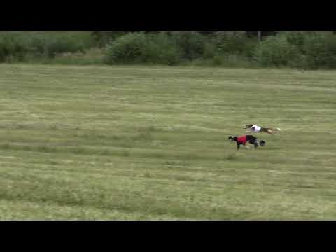 FIN17 Zarabis Shaan & Jaisalmer Abayomi