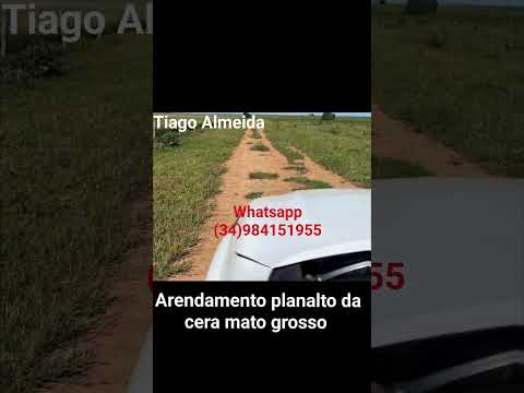 Aluguel município planalto da Serra    sendo 2200 hectares #gado #pecuarista #fazenda #agro