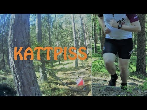KATTPISS! - INFÖR VASALOPPET!
