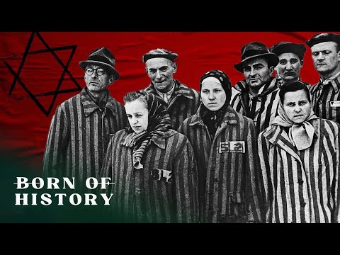 How The Nazis Brainwashed The German Peoples | Born of History 