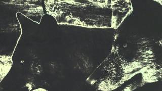 Barker & Baumecker - Crows