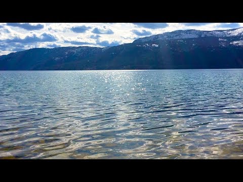 Peaceful Lake Sounds in Nature | Relax, Meditate, Focus | 10 Hours Water Sounds White Noise