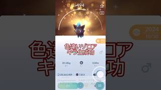キラ100登場‼️今週のキラ運ゲーの結果は…。 #ポケモンgo #pokemongo #pokemongoshorts