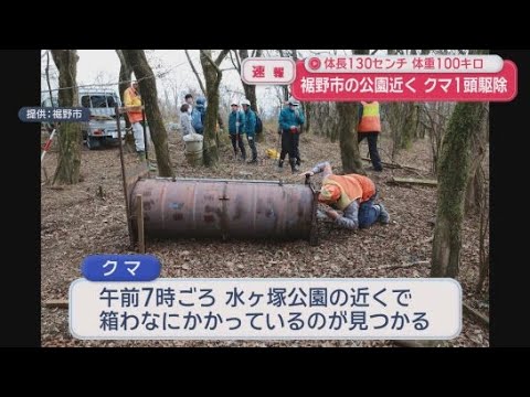 YouTube Video 公園の近くでクマ１頭を捕獲　体長１３０センチ重さ１００キロのメス　猟友会が駆除　静岡・裾野市