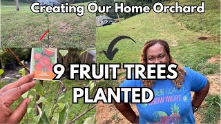 Our 1st Fruit Trees Get Planted + Orchard Update