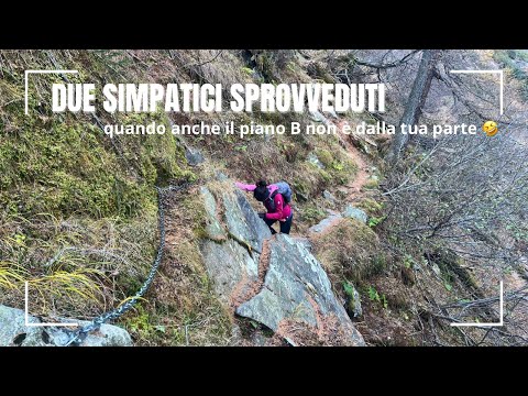 Two heads, zero cognition: Mission failed at Sasc Fura 😆 (description below)