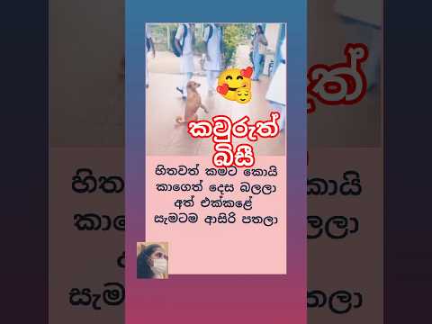 හිතවත් කමට poem #shortsvideo 🥰🥰🥰