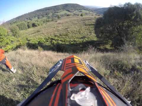 Vadkakaduk Muki villantas 2015 szeptember