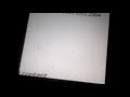 I Got My 1st Copyright Claim By WBTV