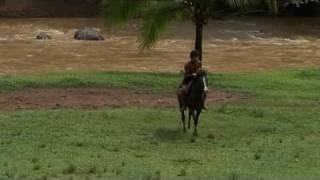 DE SISTA SCHAMANERNA - En Dokumentärfilm.