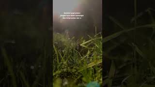 Download lagu storywa selamat pagi 30detik mp3