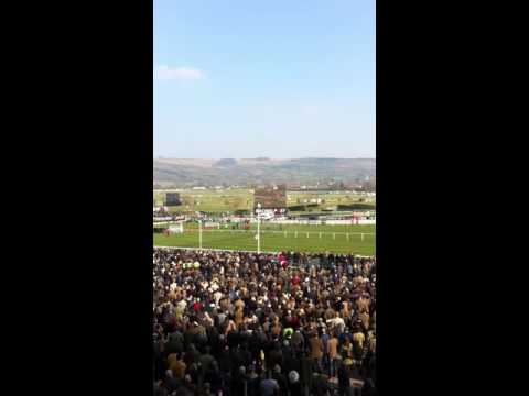 Cheltenham 2016 - Vautour - Ryanair Chase