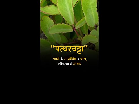 Treatment of Stones with Ayurvedic and Home Remedies Stone lick #Kidnystones #kidny #wealth #shorts