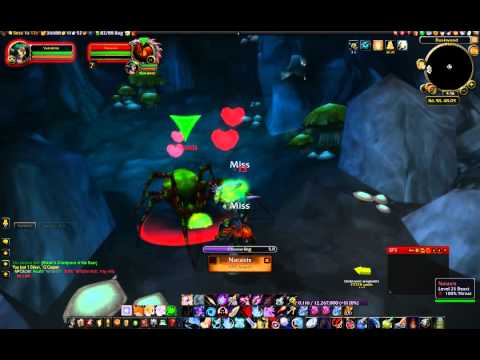 Naraxis Tame - Rare Spawn Spider in Duskwood