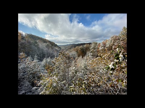 Beware of 3 Types of Friends by Bishop TD Jakes and Amazing Grace My Chains are Broken.🙏🏼💙