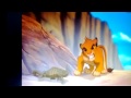 Simbas Little Roar