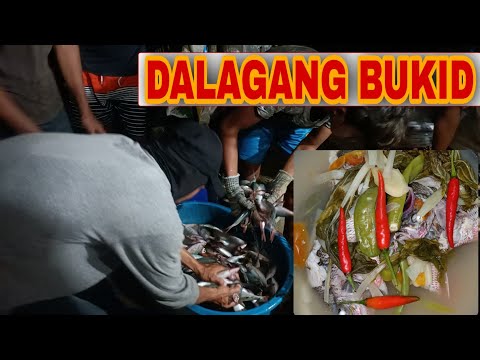 Panlalambat ng Dalagang Bukid Catch & Cook, Occi. Mindoro, Counry Side  - EP26