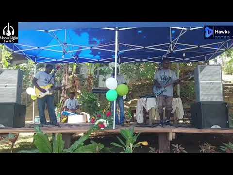 Unity   Lista Laka cover song by Moonlight Band 25
