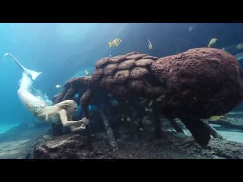 Hamza Khammessi – M@zda (Original Mix)