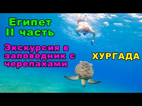 36. Египет. II часть. Экскурсия в заповедник с черепахами