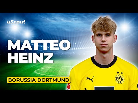 How Good Is Matteo Heinz at Borussia Dortmund?