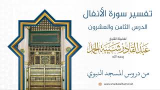 تفسير سورة الأنفال (28) تابع تفسيرالآيات 61 – 66 | الشيخ عبد القادر شيبة الحمد image