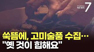 옛날 것이 힙해요…쑥뜸 뜨고 고미술품 찾는 2030 [뉴스7]