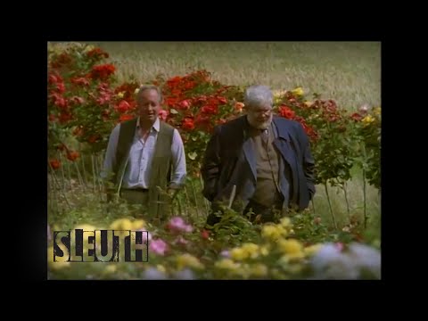 A Retirement Bribe | Pie In The Sky