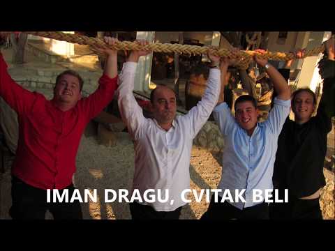 Barba i Neputi - Iman dragu, cvitak beli