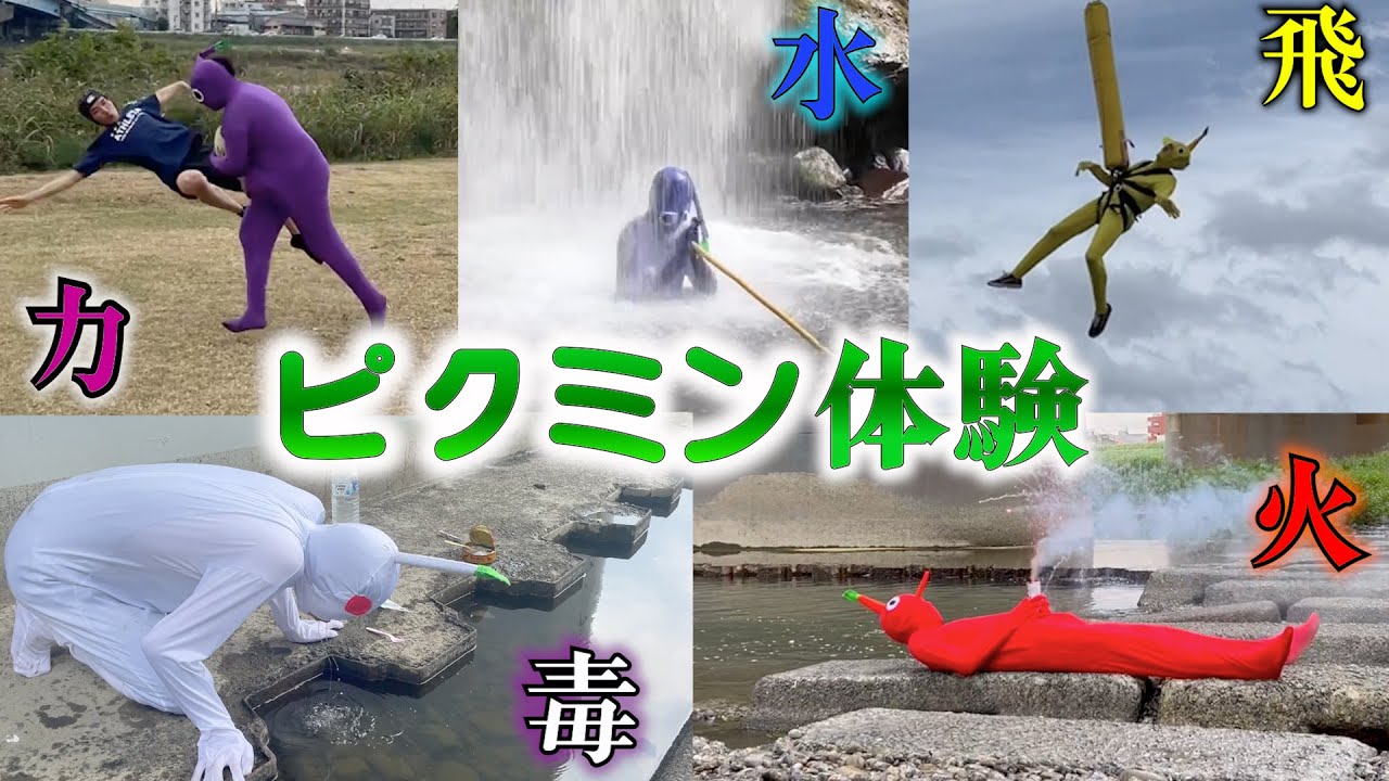 【過酷】ピクミンやってみたらほぼ死んだ2